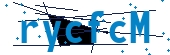 recaptcha