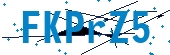 recaptcha